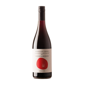 Montepulciano d'Abruzzo DOC Anfora Organic 2017